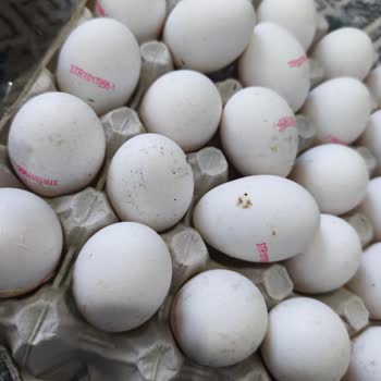 Yemeksepeti Üzerinden Kim Market’ten Gelen Küflü Yumurta Ve Reddedilen İade Talebi