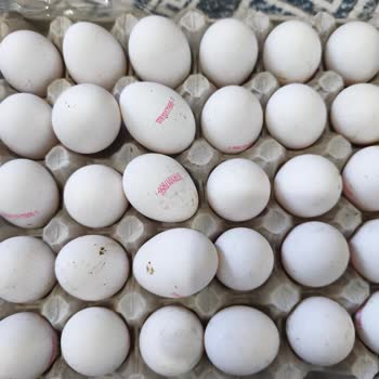 Yemeksepeti Üzerinden Kim Market’ten Gelen Küflü Yumurta Ve Reddedilen İade Talebi