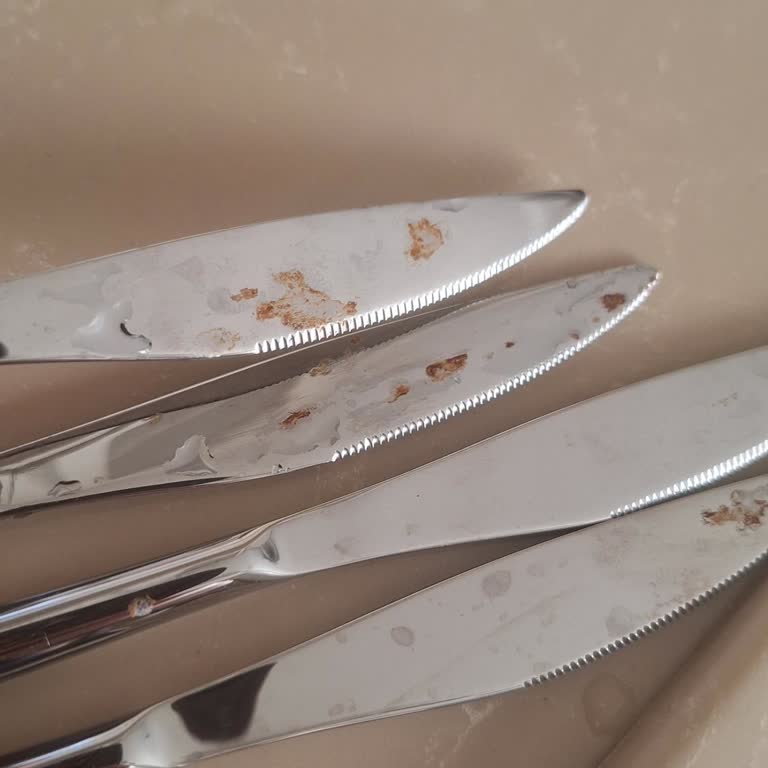 Karaca’dan Alınan Çatal Kaşık Bıçak Takımında Hızlı Paslanma Ve Kalite Sorunu