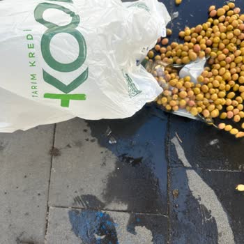 Poşetin Yırtılması Nedeniyle Zeytin Kavanozu Kırıldı