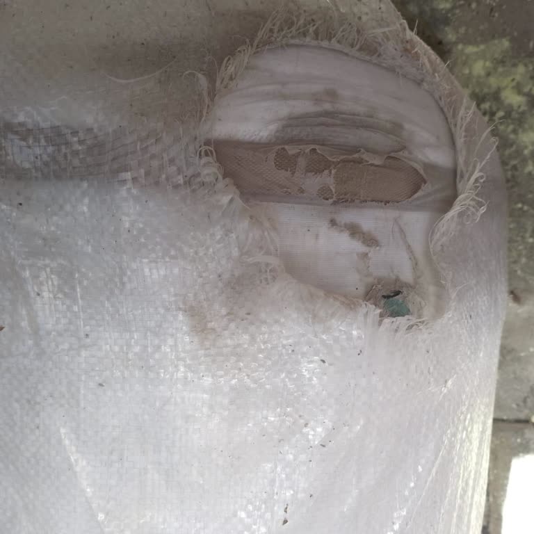 Aras Kargo Antalya Alanya Alsan Şubesinde Yatağın Kılıfı Yırtıldı Ve Personel Saygısız Davrandı