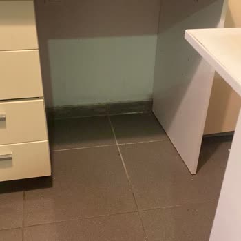 Bulaşık Makinesi Kurulumu Reddedildi, Paketi Açıldı: Bosch Servisinden Memnuniyetsizlik