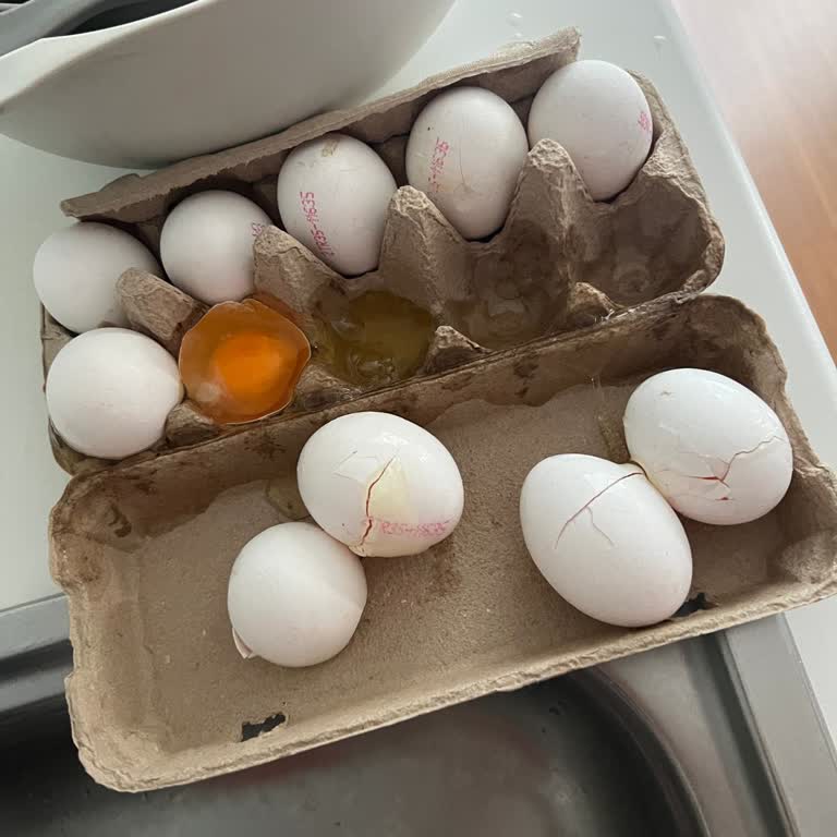 Kırık Yumurta Teslimatı, Hijyen Sorunu Ve Kaba İade Reddi