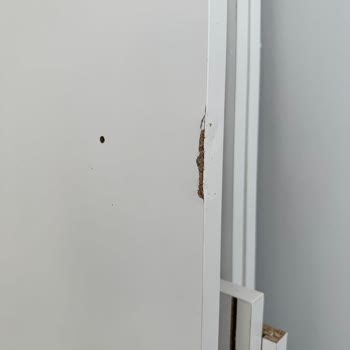 Kelebek'ten Hasarlı Gardırop Parçaları Ve Teslim Edilmeyen Ürün İçin Acil Çözüm Talebi