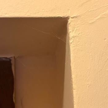 Etstur'un Tanıttığı Anadolu Hotels'te Oda Görüntüsü Ve Hijyen Çelişkisi