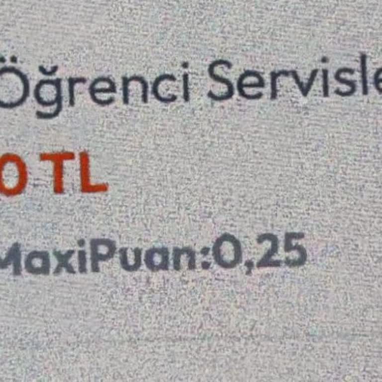 Ajet Uçuşunda Yanıltıcı Hayvan Taşıma Bilgisi, Zorunlu Çanta Ücreti Ve İade Reddi