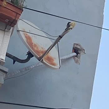 Montajda Dış Cephede Çatlak Ve Kalitesiz İşçilik
