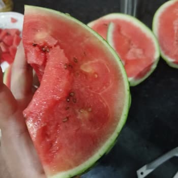 Bozuk Karpuz Ücret İadesi Gecikmesi Kabul Edilemez