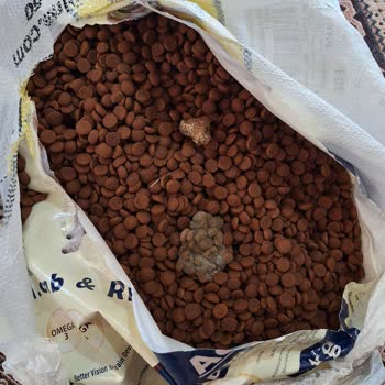 Müşteri Küflü Köpek Maması İçin Değişim Ve Açıklama Talebi