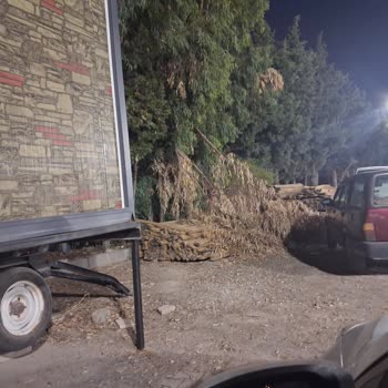 Sivrisinek İstilası Ve Çöp Dağınıklığı Foça Bağarası’nda Tatili Kabusa Dönüştürüyor