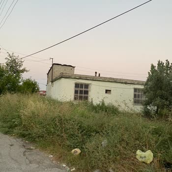 Seyhan'da Boş Arazilerde Ot Ve Çalıların Temizlenmesi Ve İlaçlama Talebi