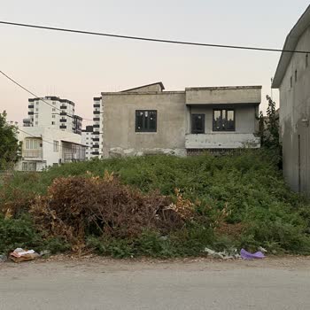 Seyhan'da Boş Arazilerde Ot Ve Çalıların Temizlenmesi Ve İlaçlama Talebi