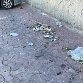 Ümit Evi Engelli Bakım Merkezi Çevresinde Çöp Kirliliği Acilen Temizlenmeli