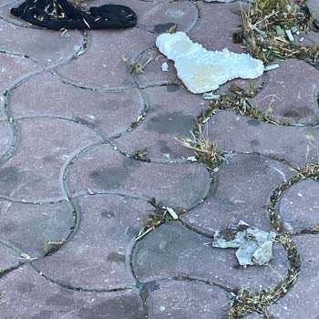 Ümit Evi Engelli Bakım Merkezi Çevresinde Çöp Kirliliği Acilen Temizlenmeli