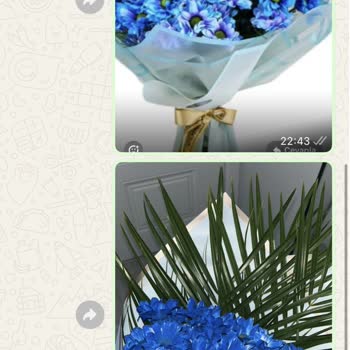 Eki aç