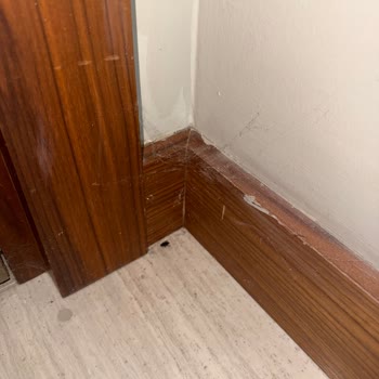 Temizlenmeyen Oda Ve Sürekli İshal: Otel Tatilimiz Kabusa Dönüştü