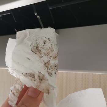 Vestel Klima Bakım Hizmeti Gerçekleştirilmedi Ve Yanıltıcı Kayıt Yapıldı