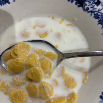 BİM Corn Flakes İçinde Ölü Fare Bulunması Ve Hijyen İhlali