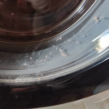 Kıyafetlerim Yırtılıyor Servis Fabrikasyon Hatası Söylüyor Müşteri Hizmetleri Sorun Görmüyor