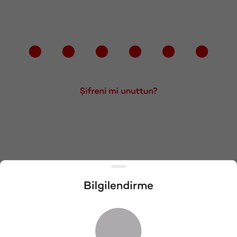 Akbank Mobil Uygulamasında Teknik Hata: Erişim Ve İşlem Yapılamıyor