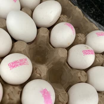 Keskinoğlu Yumurtalarında Kırıklar Ve Kötü Koku: Erken Bozulma Şikayeti