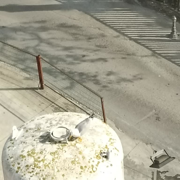 Ortopedi Servisinde Yemek Ve Temizlik Personelinin Kaba Ve Saygısız Tutumu