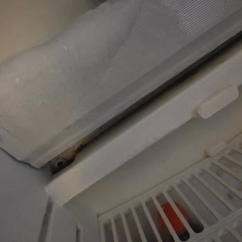 Hijyen Ve Güvenlik İhlalleri Nedeniyle Ücretsiz Otel Transferi Talebi