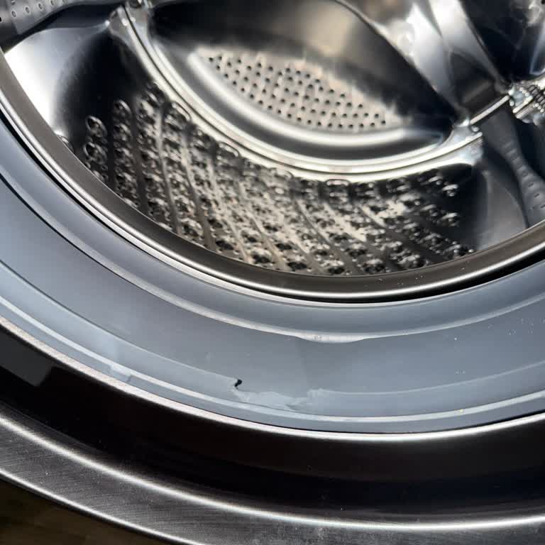 Samsung WD11 Çamaşır Makinesinde Körük Lastiği Kısa Sürede Koptu, Ücretsiz Garanti Talebi