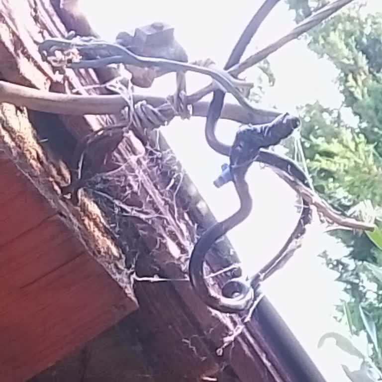 Kablodaki Kopukluk Ve Cevapsız Servis Nedeniyle Yeni Abonelikte Elektriksizlik