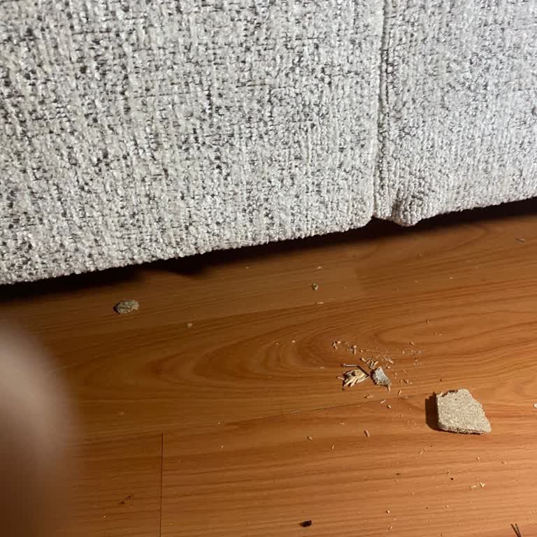 Kırık Baza Değişim Talebim 3 Hafta Geçmesine Rağmen Henüz Gerçekleşmedi