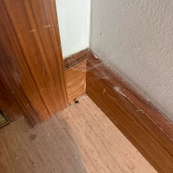 Klima Çalışmıyor, Hijyen Yok: Tatil Hayal Kırıklığı