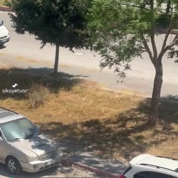 Seyhan Belediyesi Acil Temizlik Şart