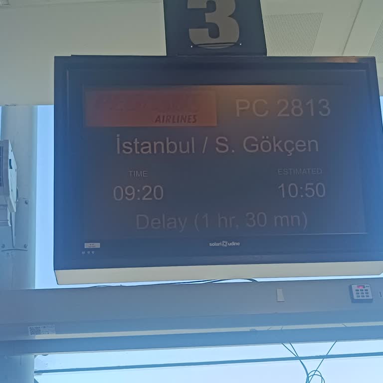 Pegasus Uçuş Gecikmesi Nedeniyle Randevumu Kaçırdım Ve Destek Alamadım