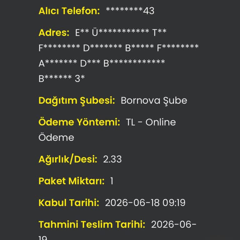 Cargo X Teslim Edilmediği İddia Edilen Kargo İçin Açıklama ve Tazminat Talebi