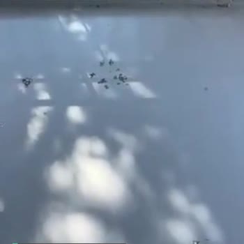 Zemin Boyama Sistemleri Boya Her Yerden Patladı!