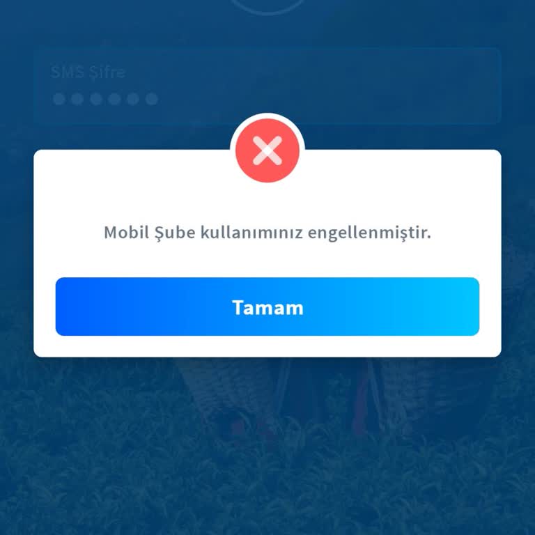 Mobil Şube Erişiminin Bilgilendirme Olmadan Kapatılması Ve Borç Yapılandırma Talebi