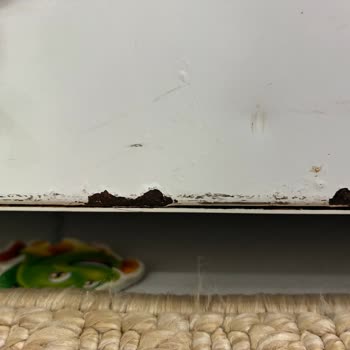 Garanti Uzatmasına Rağmen Buzdolabı Kapak Paslanması Kapsam Dışında