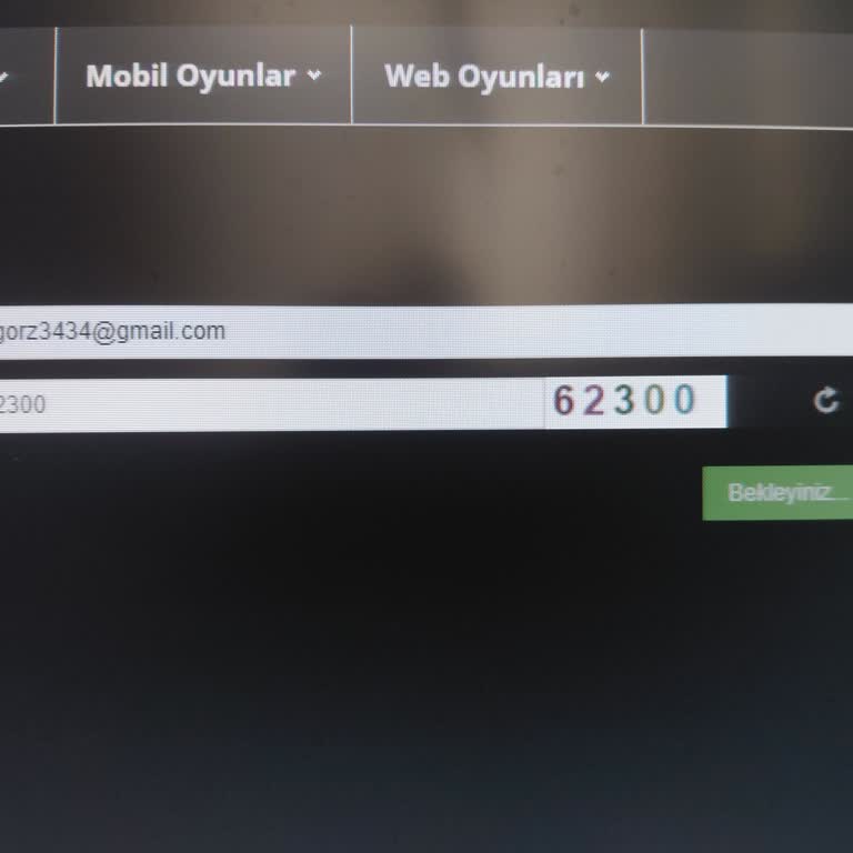 Wolfteam Şifre Sıfırlama Kodunun Gelmemesi Ve Destek Kapalı