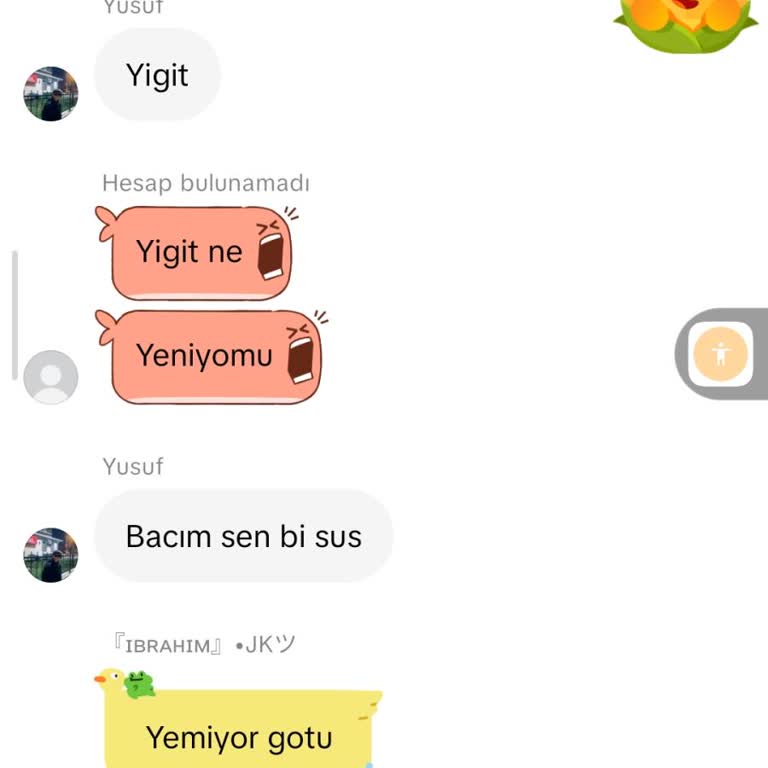 TikTok’ta İsimle Alay Ve Hakaret İçeren Paylaşımların Hızlı İncelenmesi Talebi