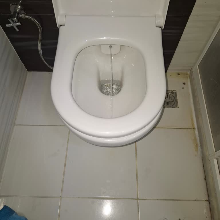 Eğri Gelen Vitra Klozetin Ücretsiz Değiştirilmesi Talebi