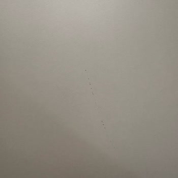 Teslimat Gecikmesi Ve Kalite Hataları Nedeniyle Tam Değişim Talebi