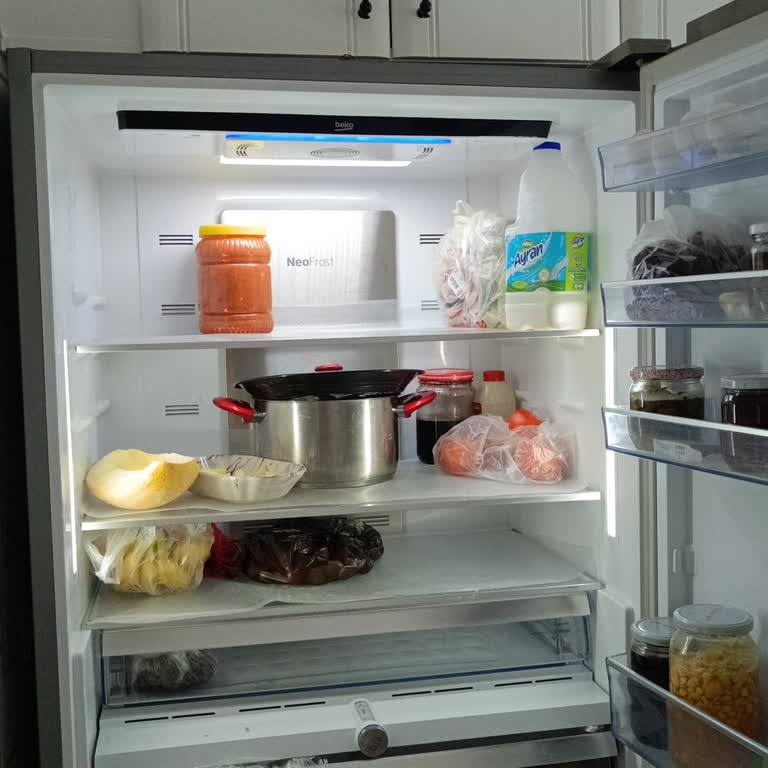 Beko Neo Frost Buzdolabının Soğutmama Sorunu Ve Yetkili Servis Gecikmesi