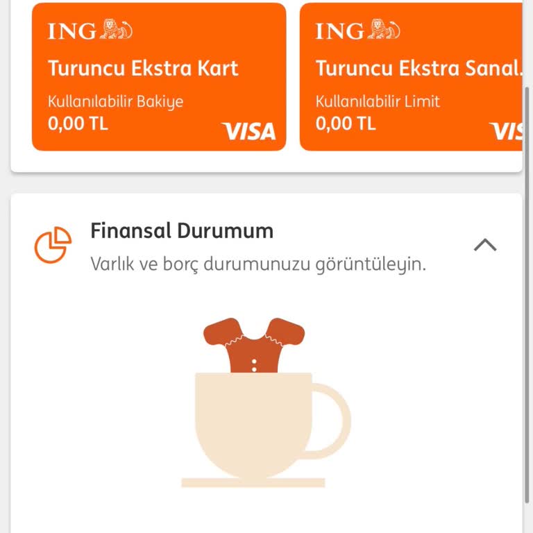 ING Bank Mobil Uygulamasında Hesaplar Görünmüyor