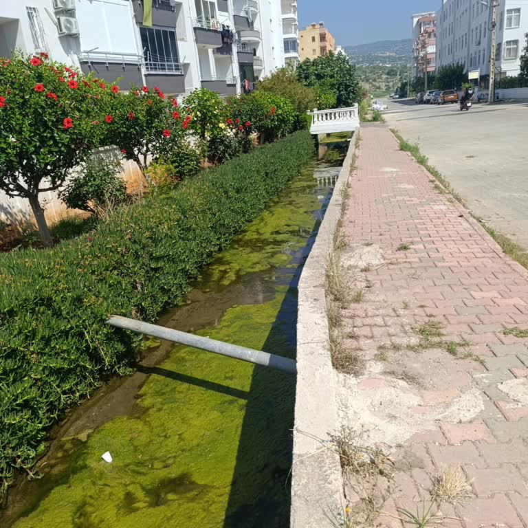 Atakent Mahallesi Su Kanalı Kirliği Ve Sivrisinek Sorunu İçin Acil Temizlik Ve İlaçlama Talebi