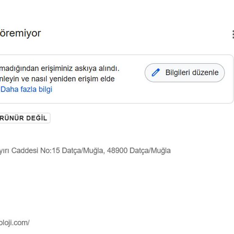Google İşletme Profilim Askıya Alındı, İtirazım Yanıt Bekliyor