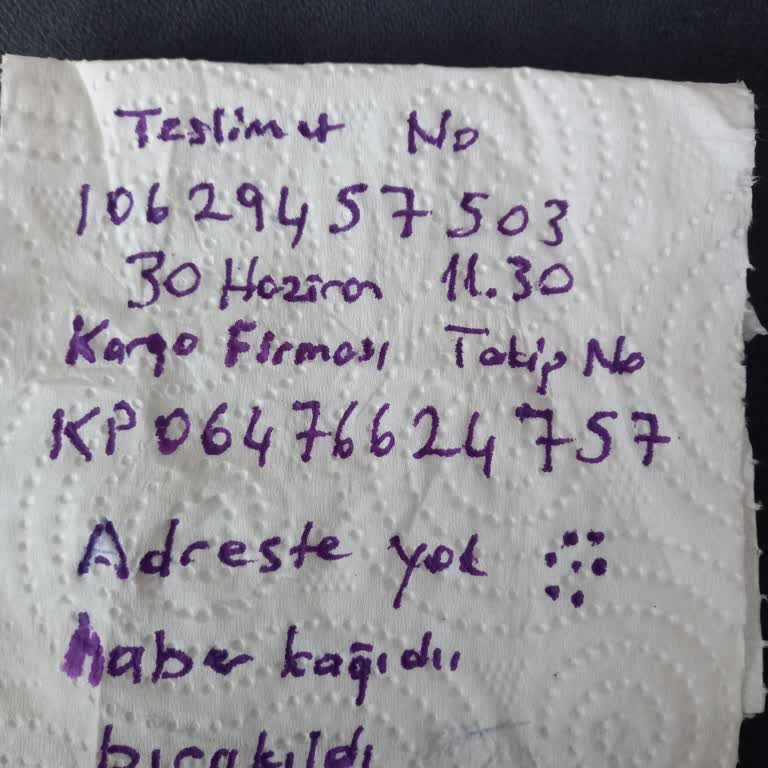 Evde Olmamıza Rağmen Sistemde Yanlış Teslim Bilgisiyle PTT Kargo Hatası