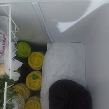 Beko Derin Dondurucularda Garanti Sonrası Ortak Arıza Ve Yüksek Servis Ücreti Şikayeti