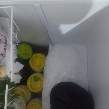 Beko Derin Dondurucularda Garanti Sonrası Ortak Arıza Ve Yüksek Servis Ücreti Şikayeti