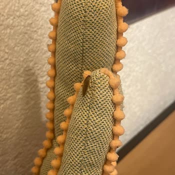 Booking.com Apartment Had Bedbugs and Didn't Match Listing Photos