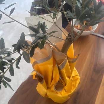 Çiçek Sepeti Sipariş Edilen Çiçek Görselden Farklı Ve Tozlu Geldi, Çözüm Bekliyor